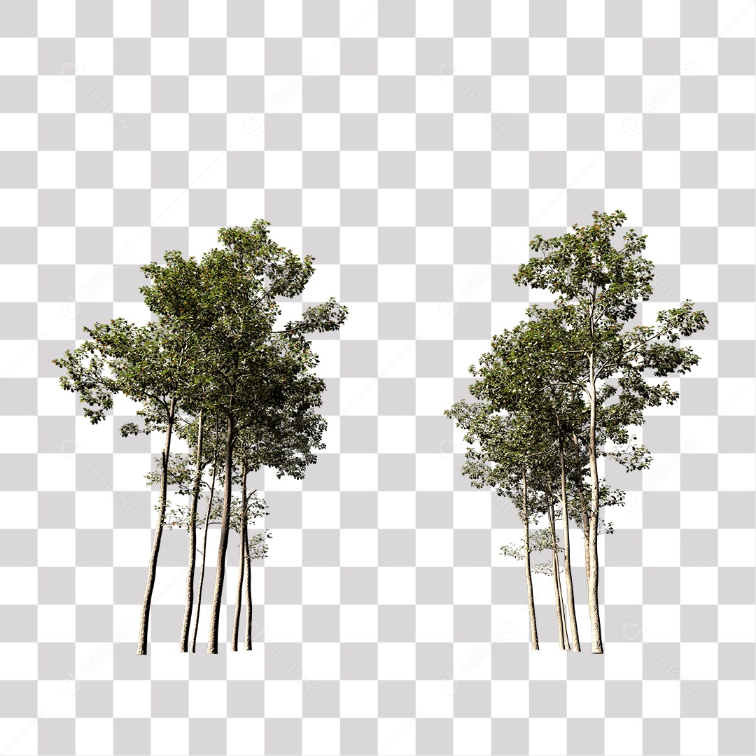 Árvores verdes PNG Transparente