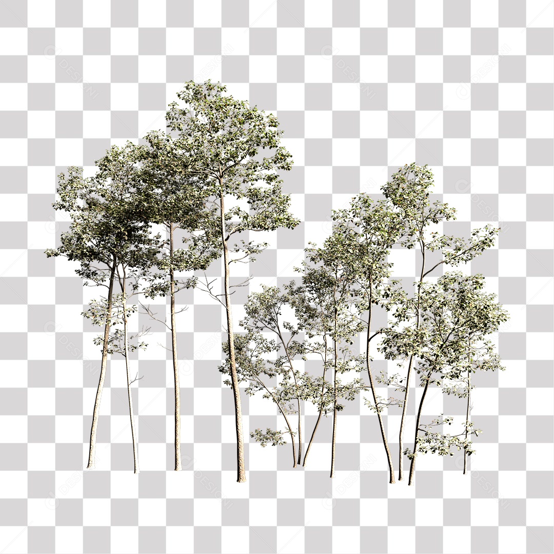 Árvores verdes PNG Transparente