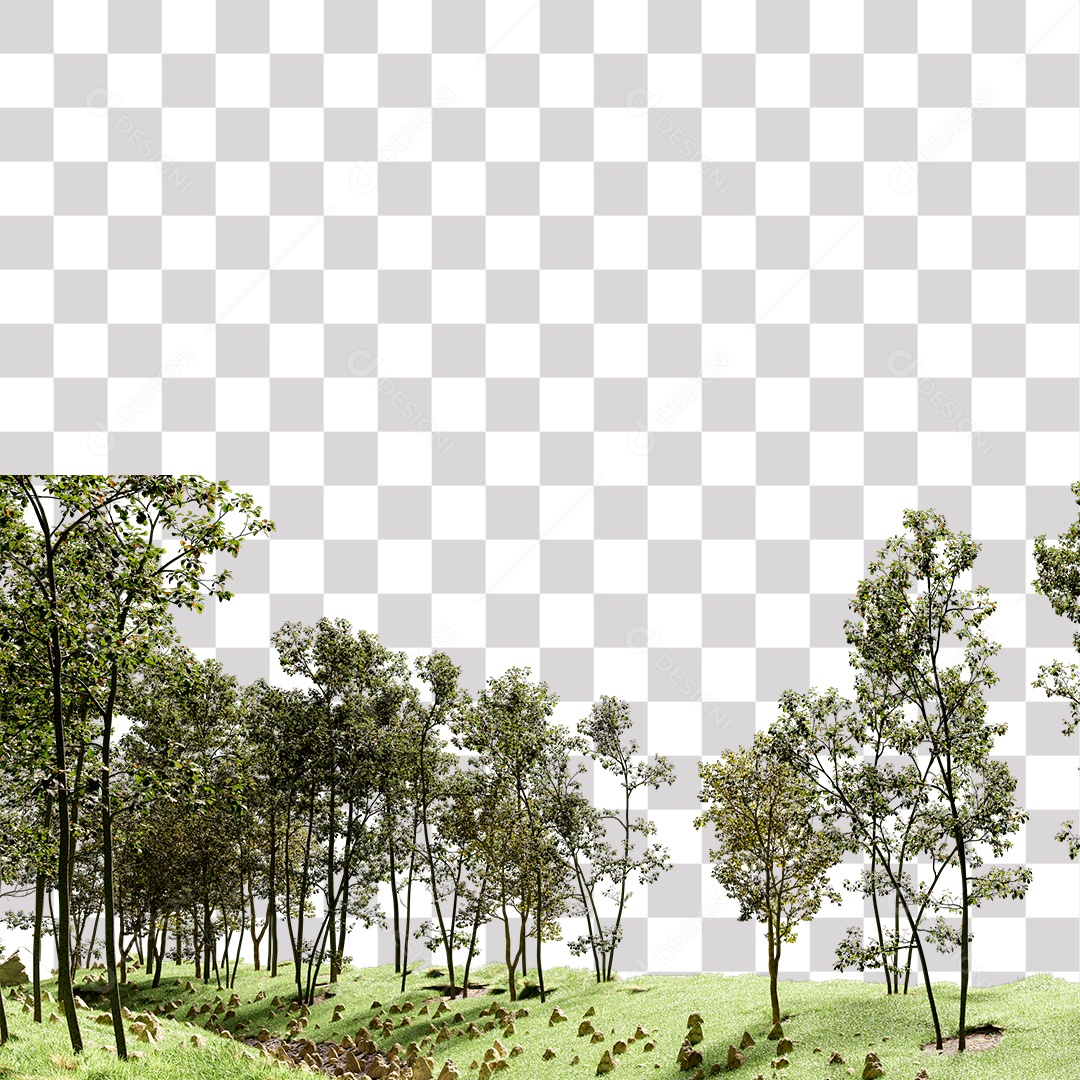 Terreno com Árvores e Pedras PNG Transparente