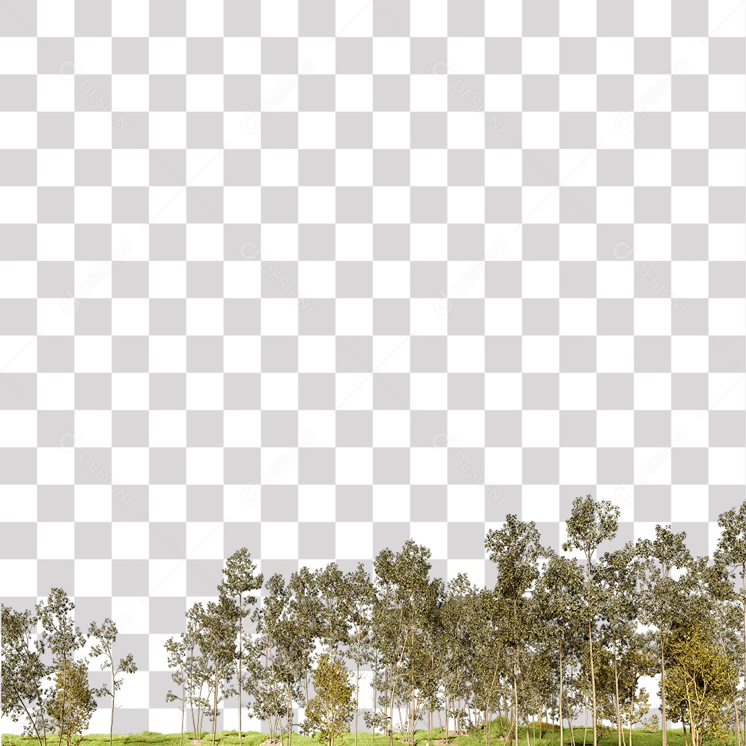 Árvore de folha verde, planta PNG Transparente