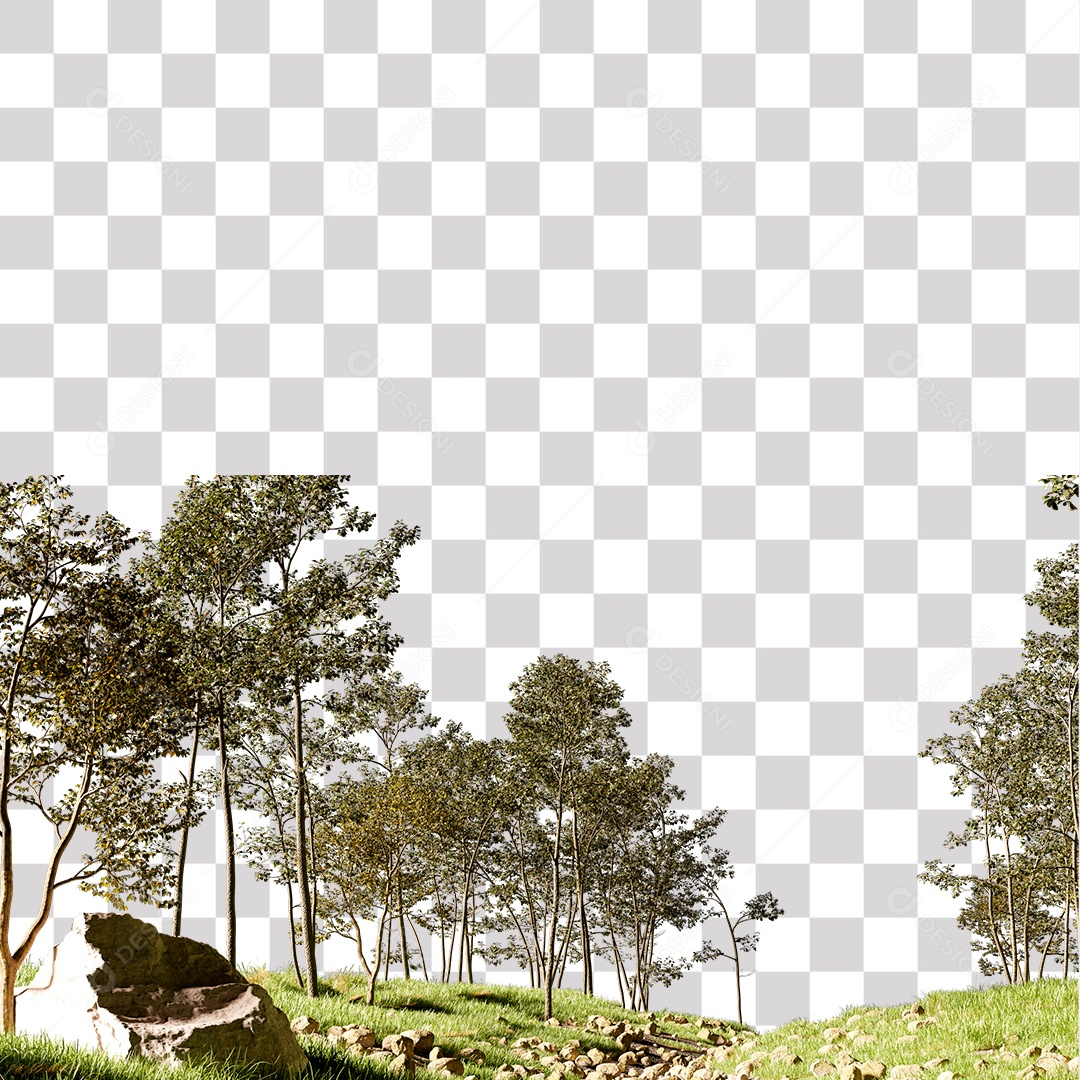 Árvore de folha verde, planta PNG Transparente