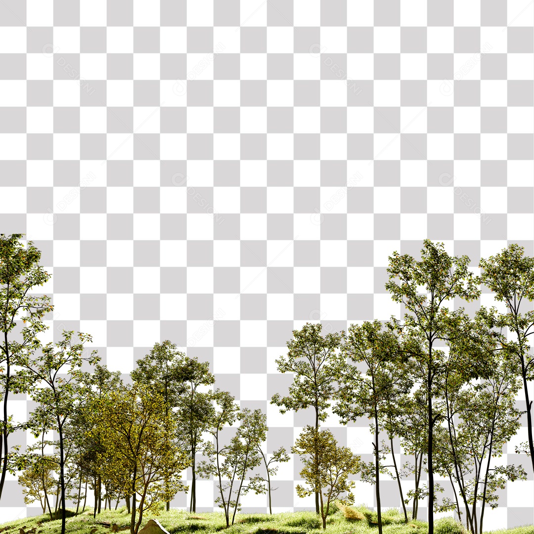 Árvore de folha verde, planta PNG Transparente