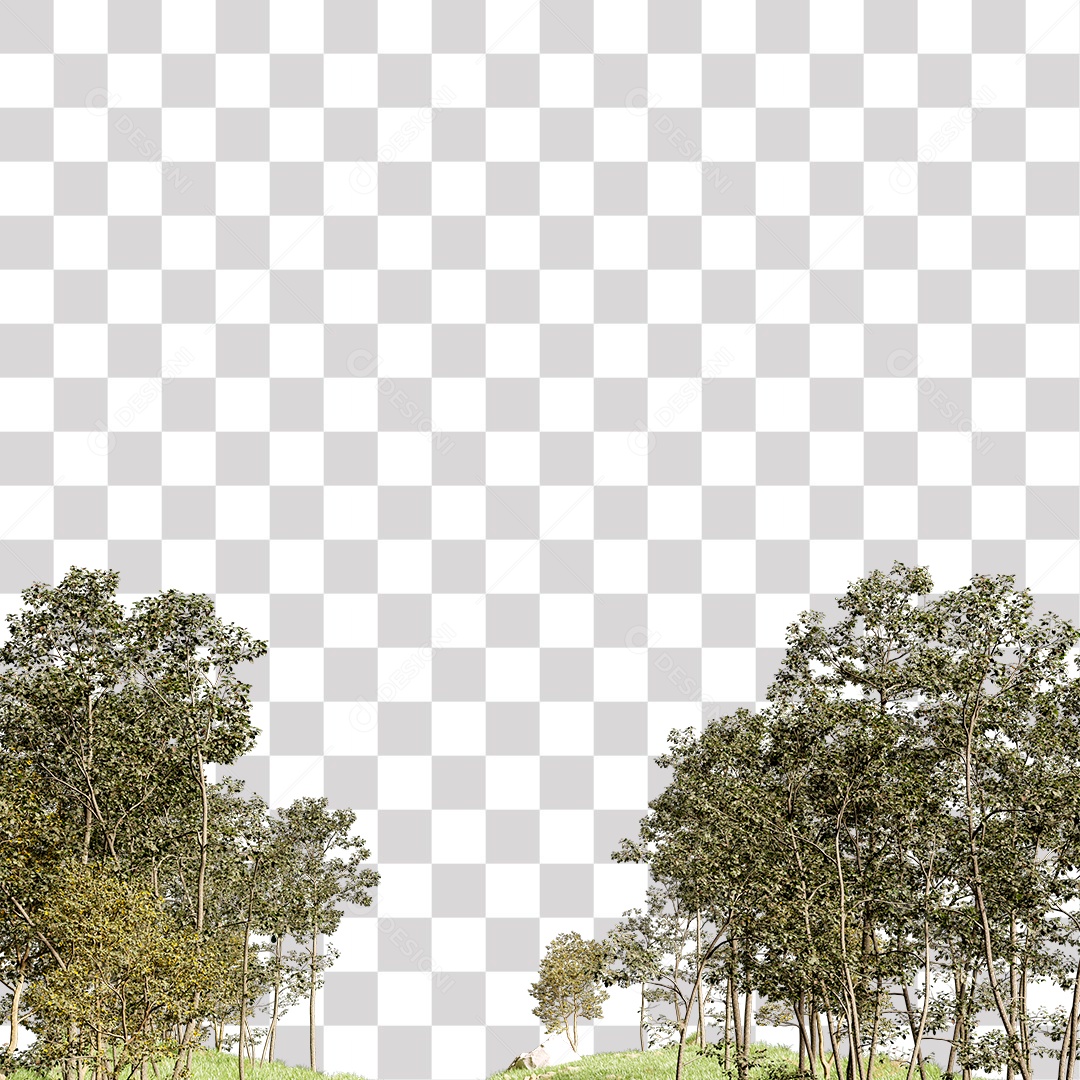 Árvore de folha verde, planta PNG Transparente