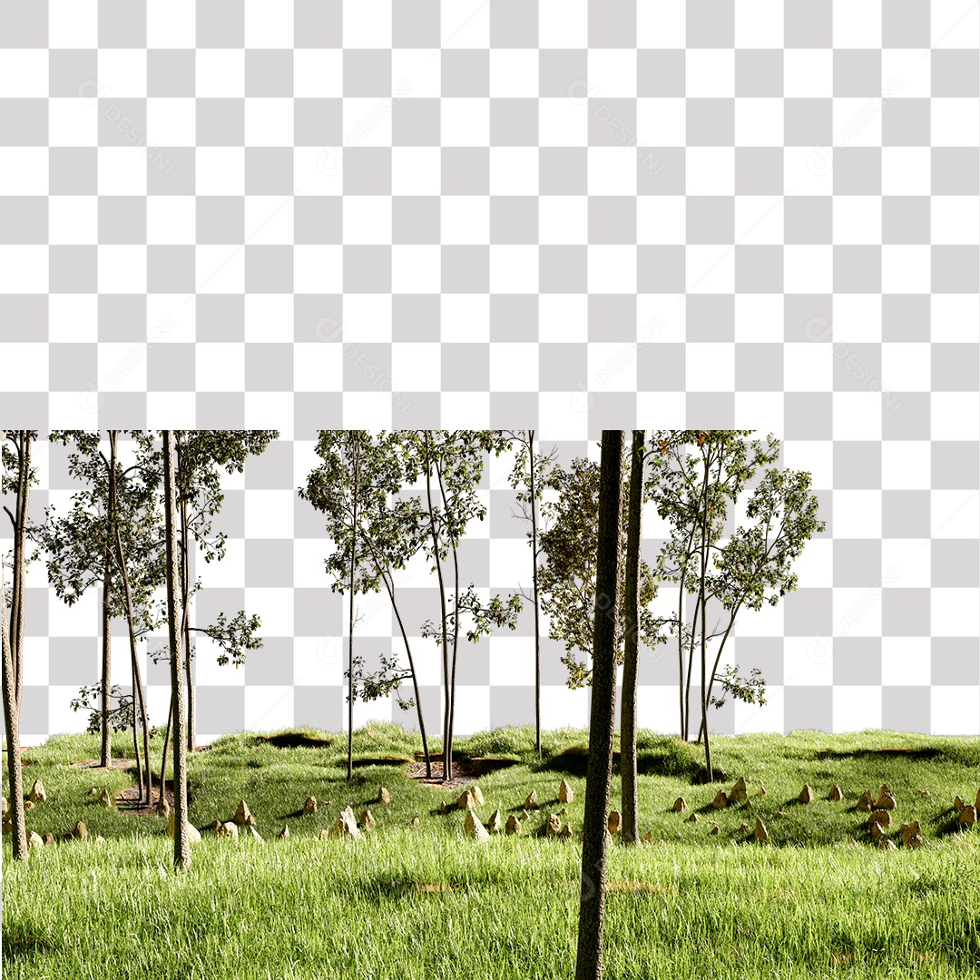Terreno com Árvores e Pedras PNG Transparente