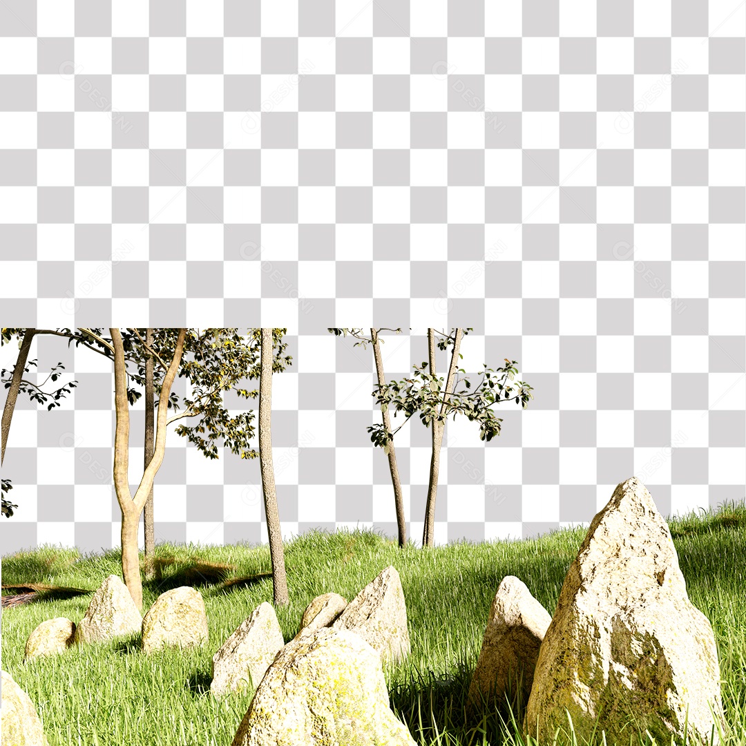 Terreno com Árvores e Pedras PNG Transparente