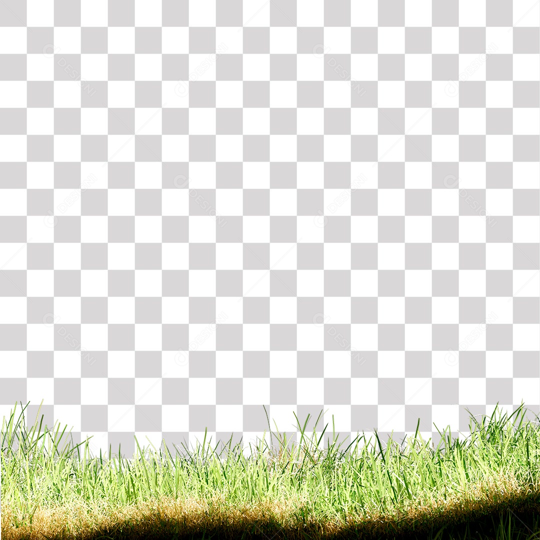 Grama verde PNG Transparente