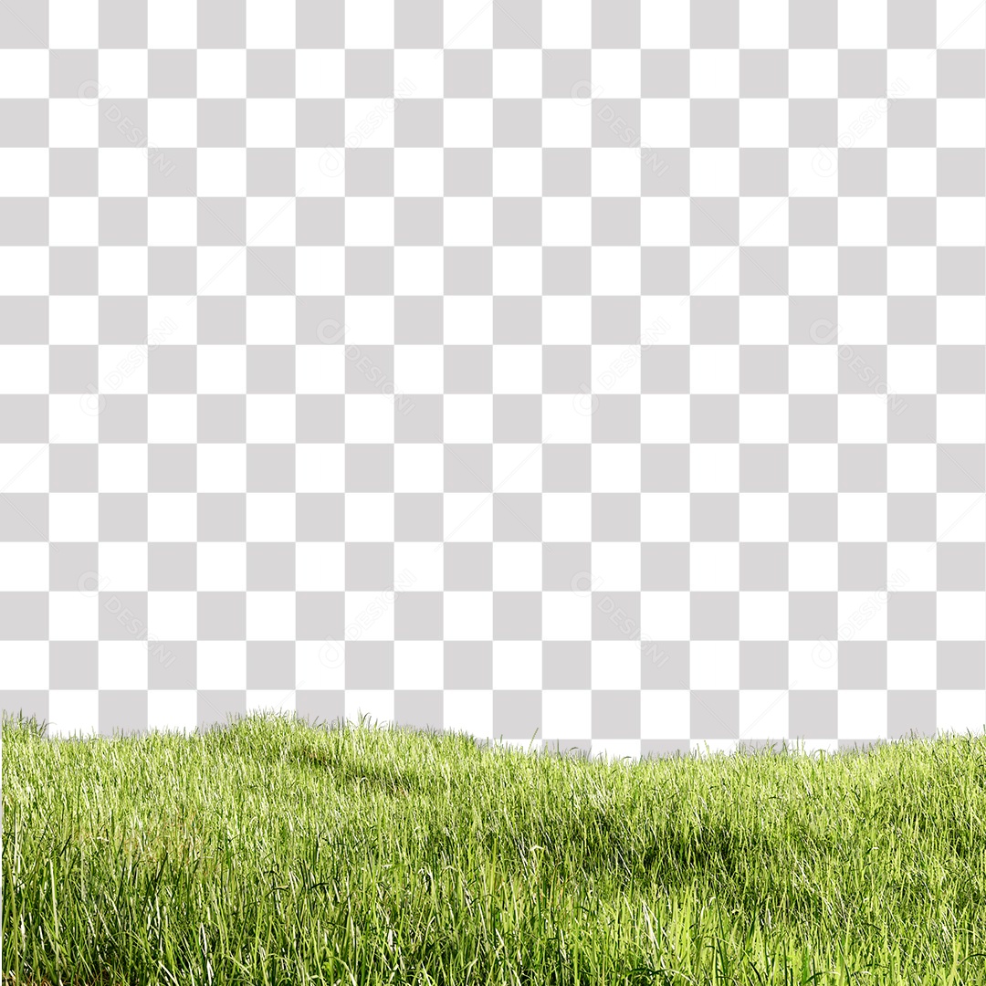 Grama verde PNG Transparente