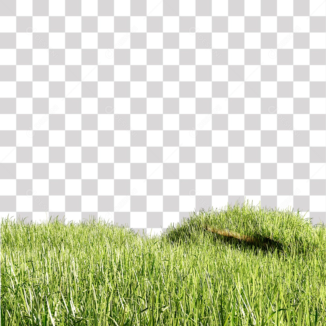 Grama verde PNG Transparente