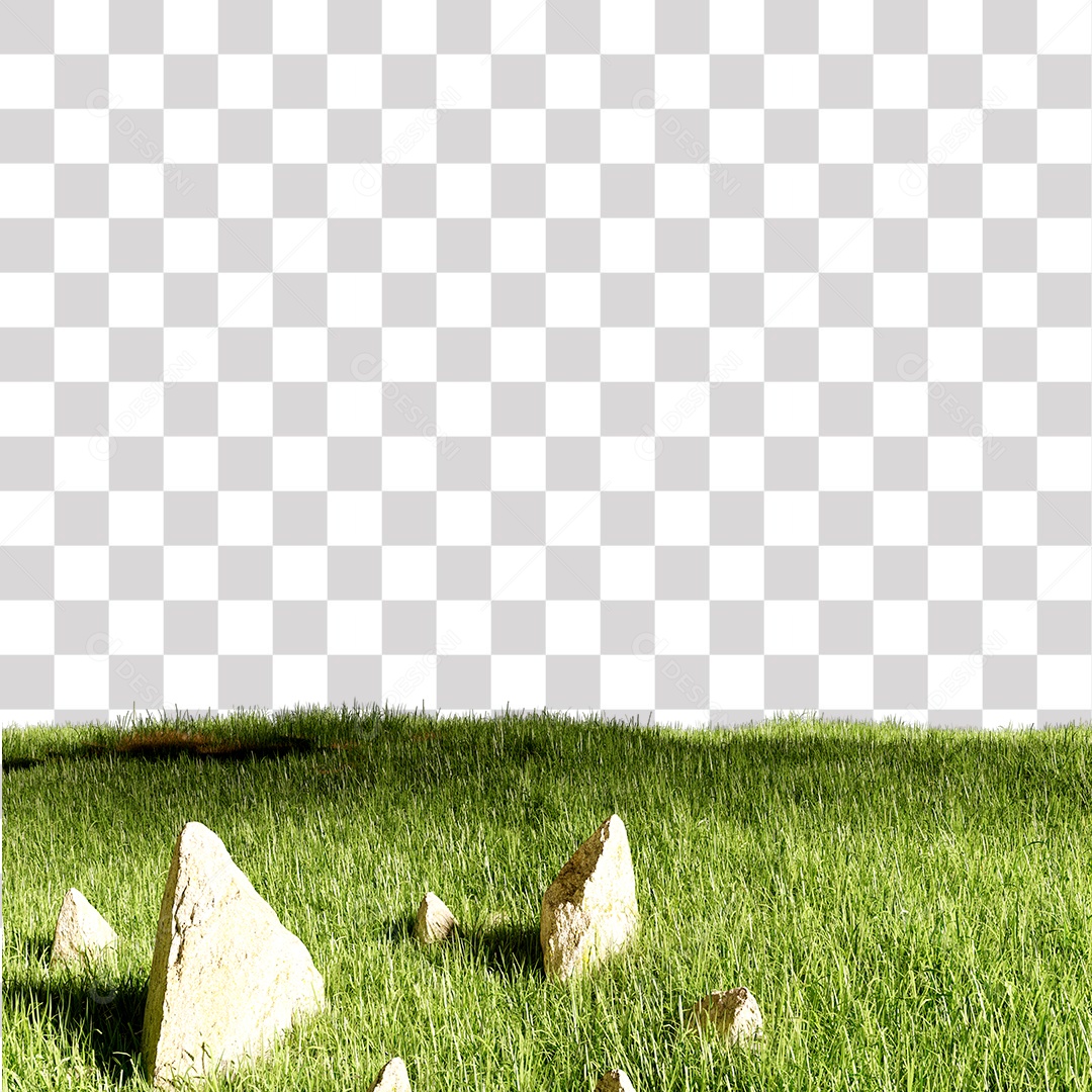 Grama Verde Pedra PNG Transparente