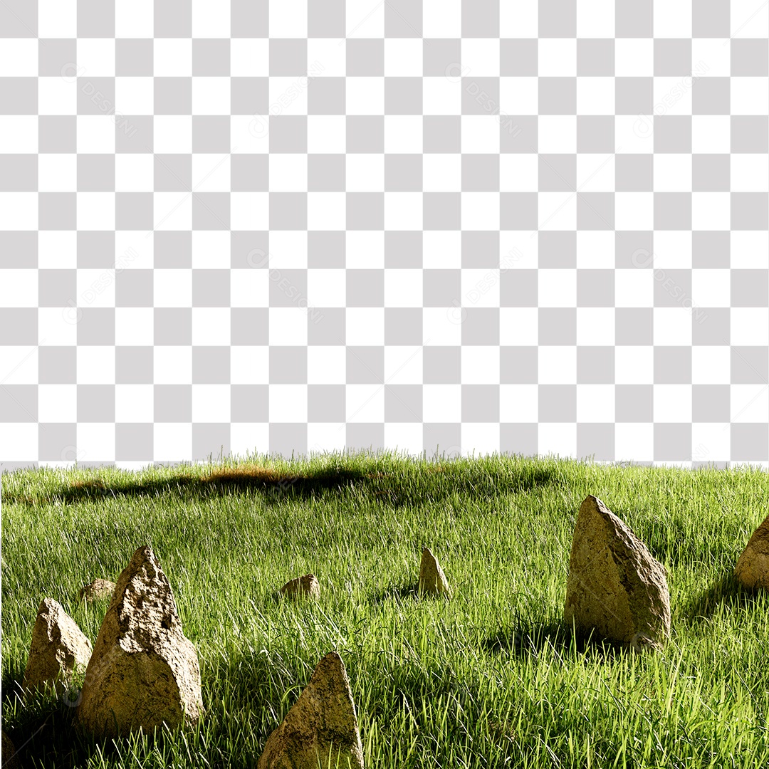 Grama Verde Pedra PNG Transparente