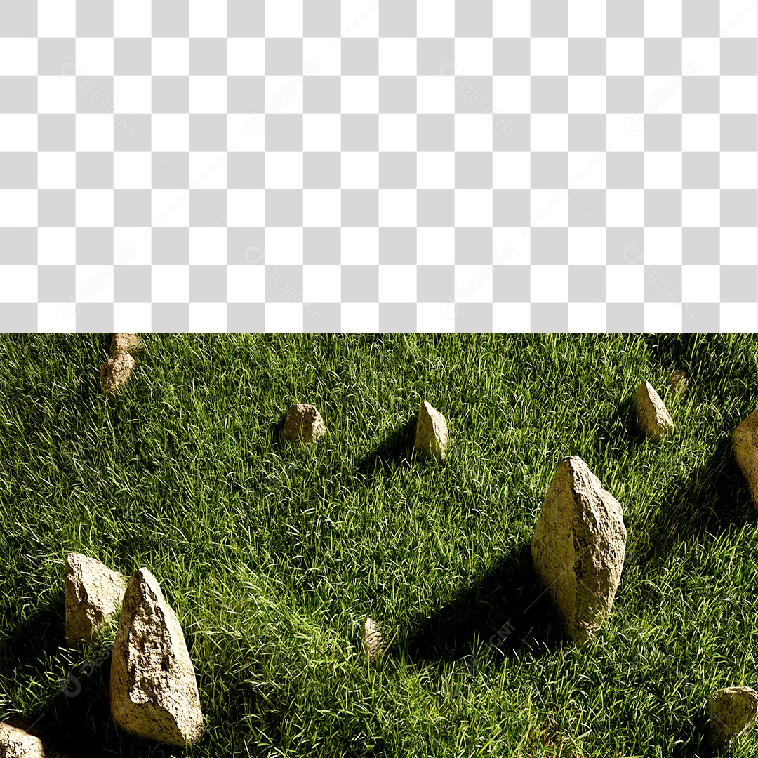 Grama Verde Pedra PNG Transparente