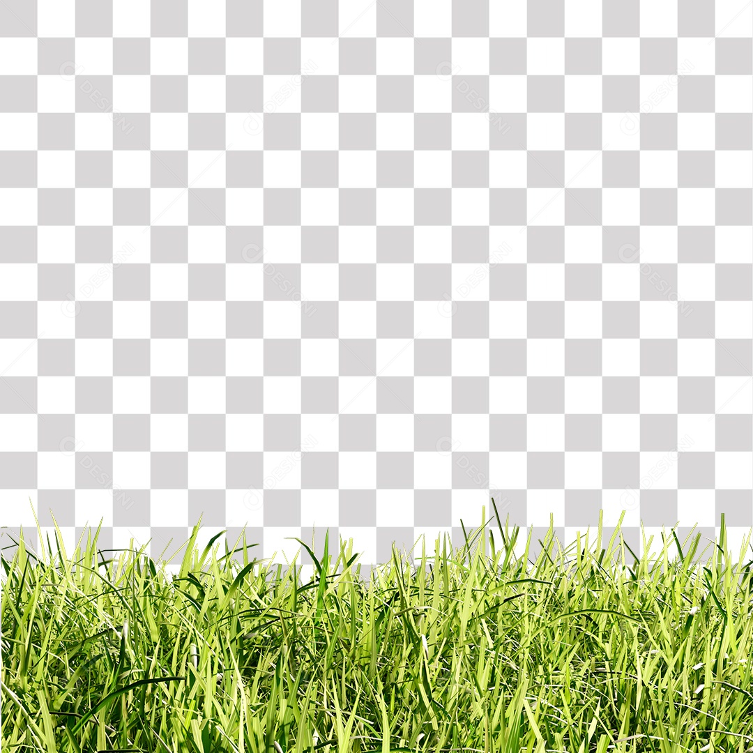 Grama verde PNG Transparente