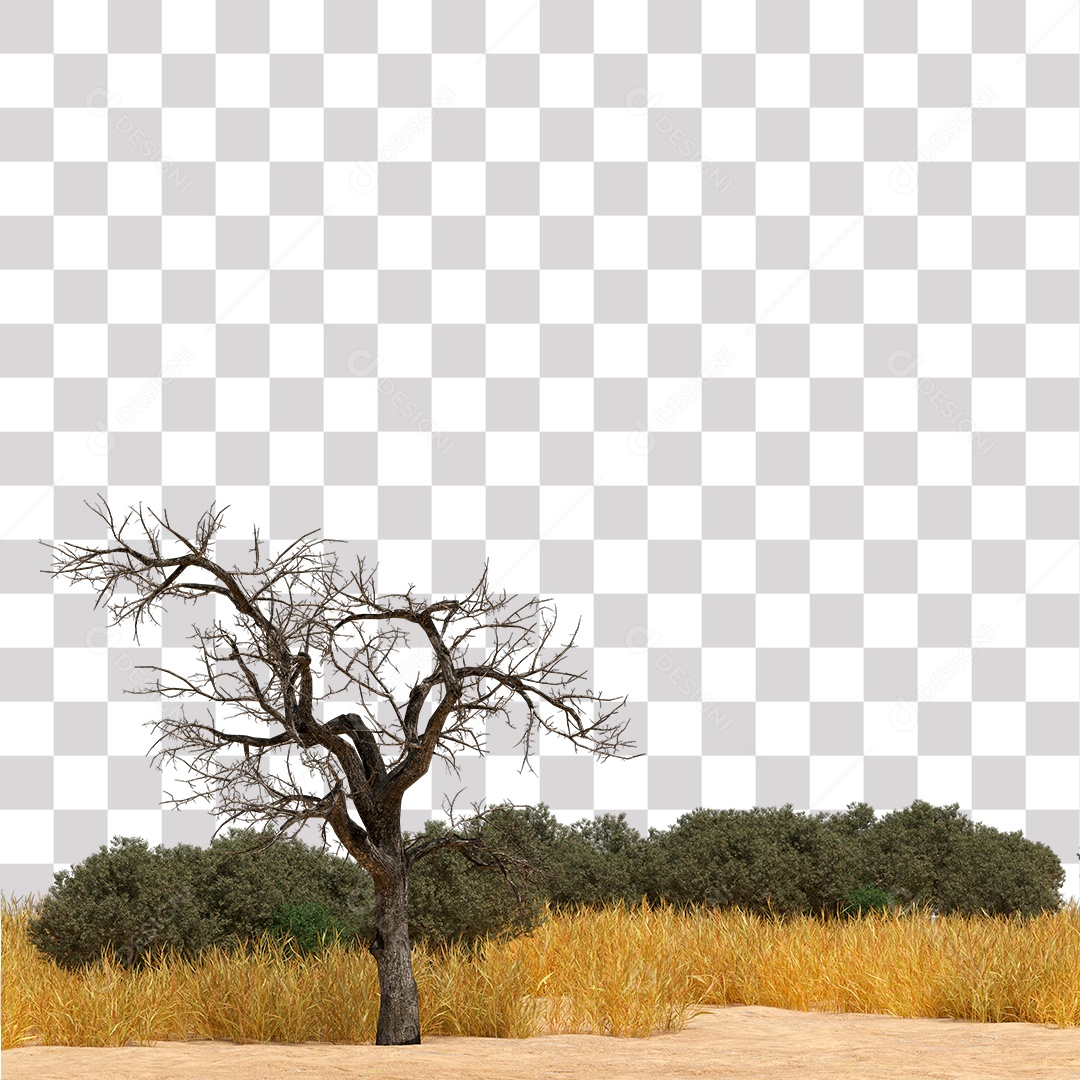 Paisagem Árvore Seca no Campo PNG Transparente