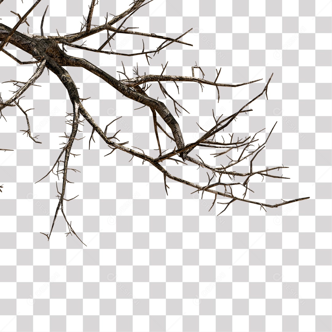 Galho Seco de Árvore PNG Transparente