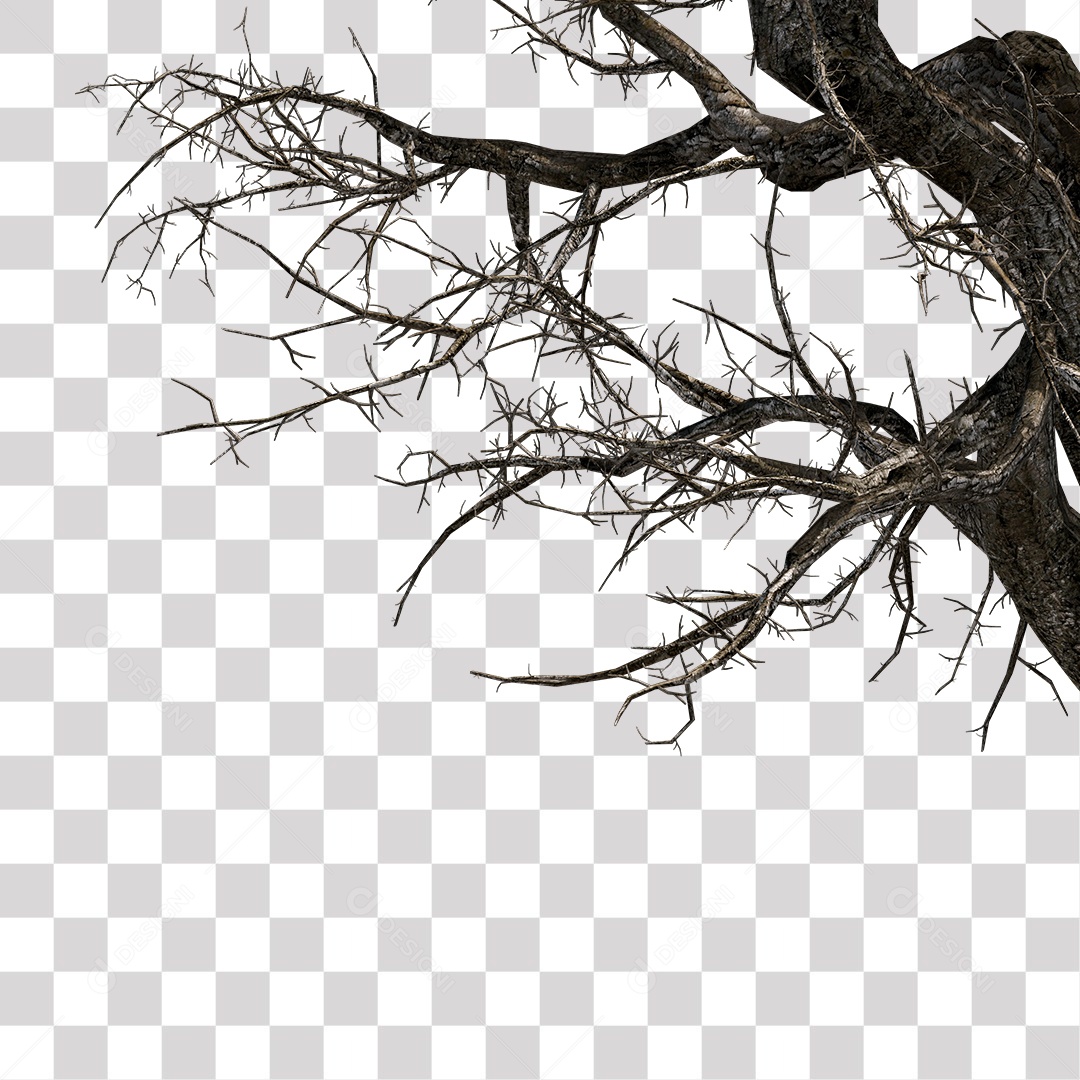 Galho Seco de Árvore PNG Transparente