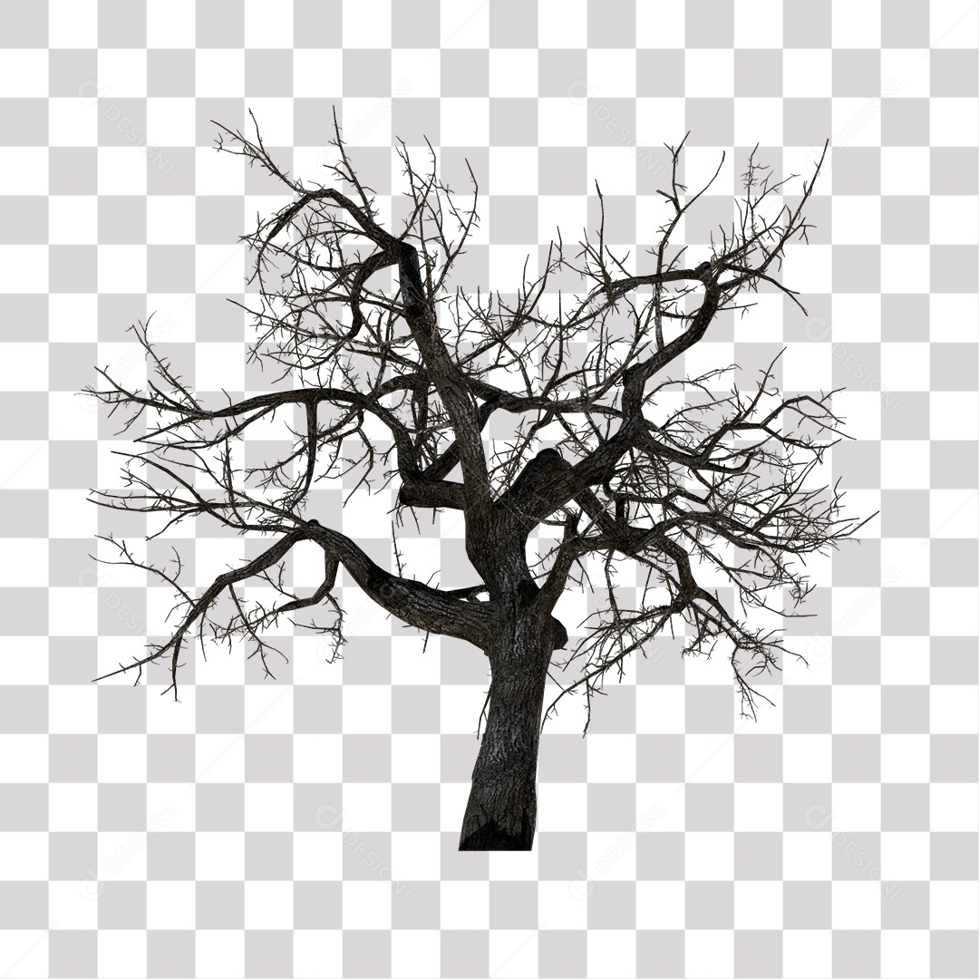 Árvore Seca PNG Transparente