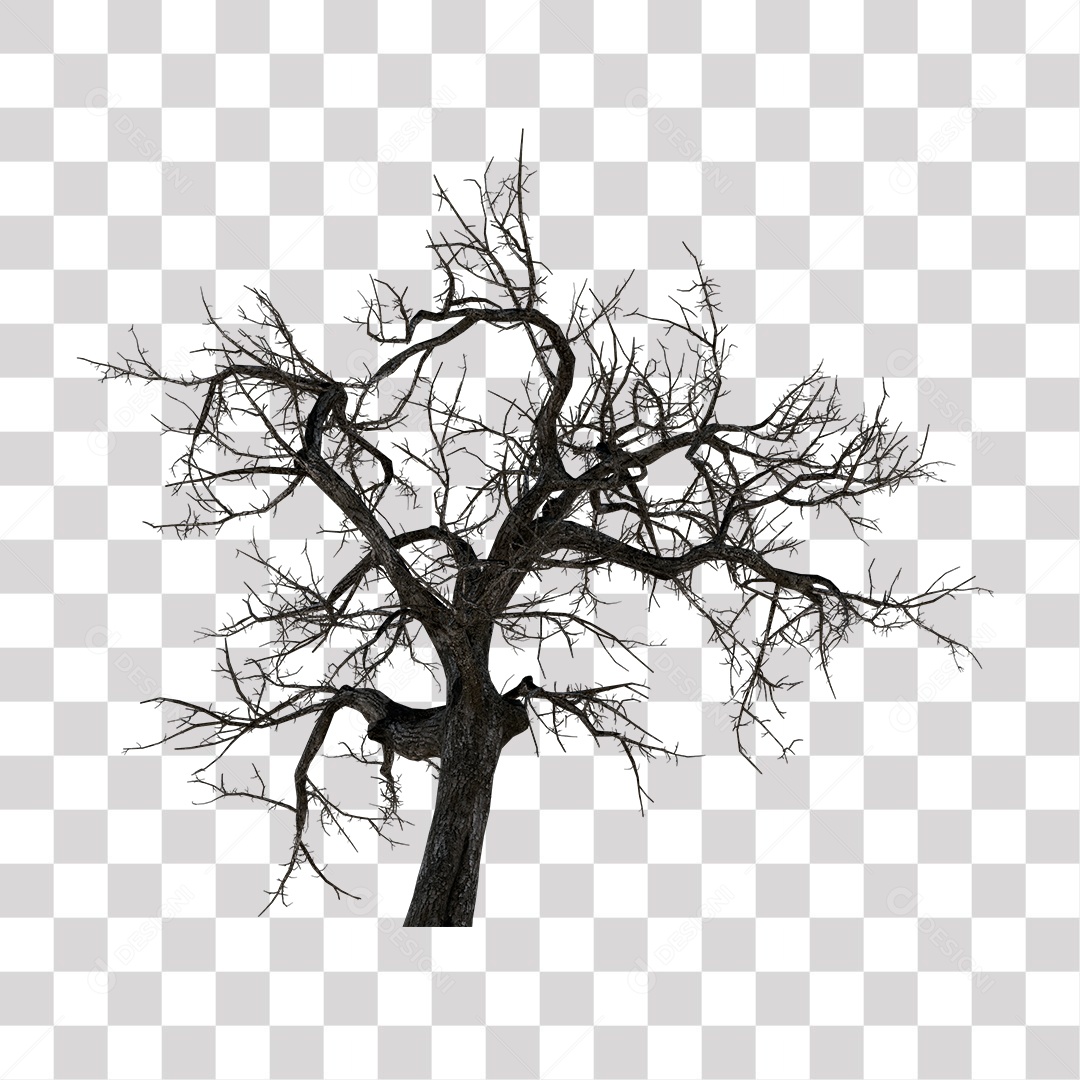 Galho Seco de Árvore sem Folhas PNG Transparente