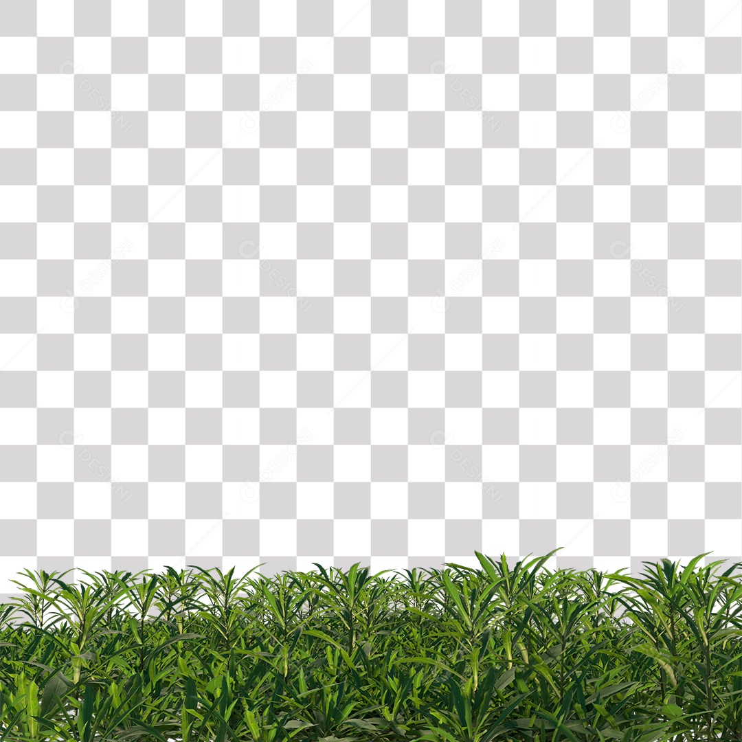 Arbusto Verde PNG Transparente