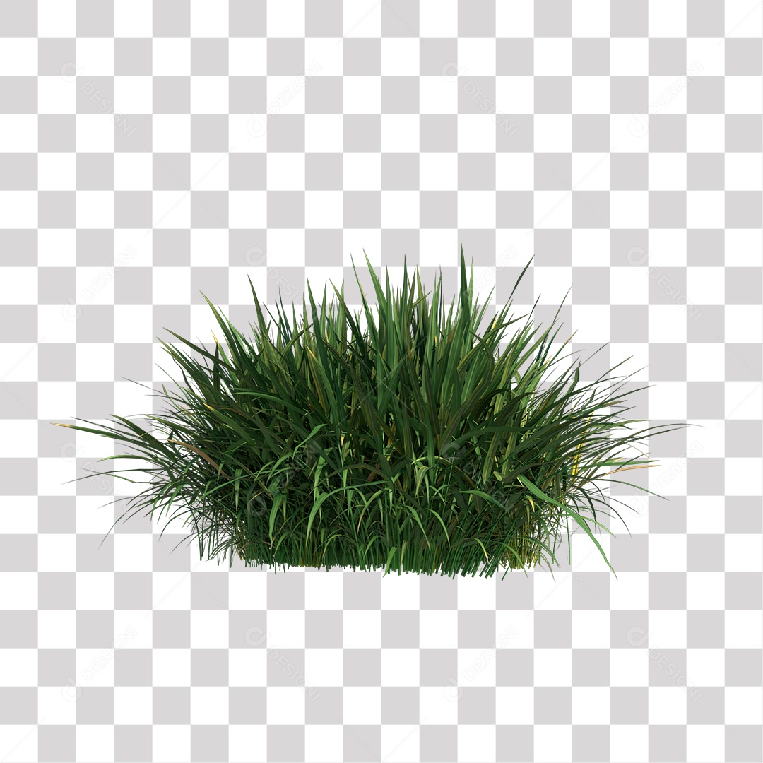 Grama Verde PNG Transparente