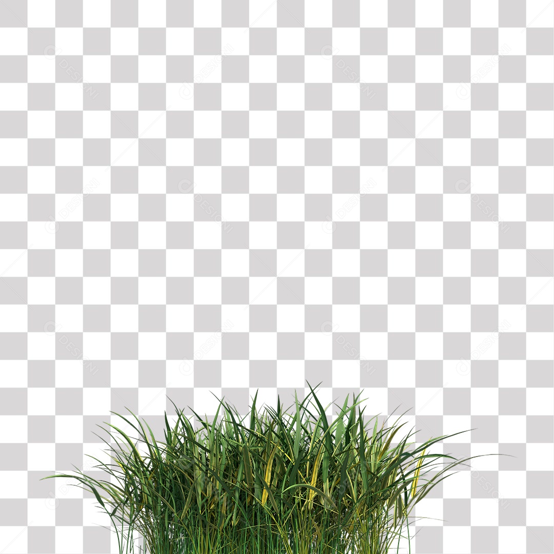 Grama Verde PNG Transparente