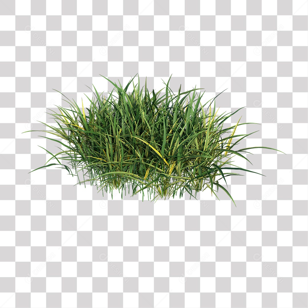 Grama Verde PNG Transparente