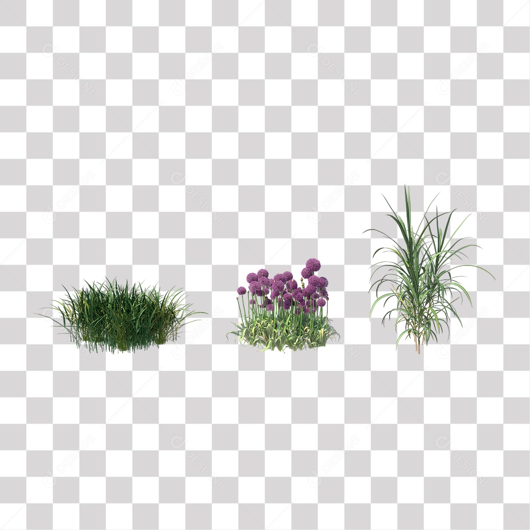 Planta com Flor PNG Transparente