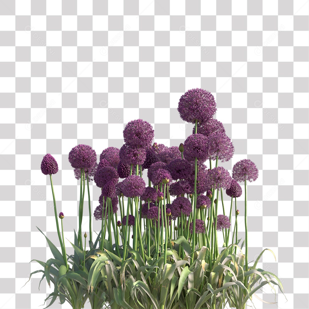 Planta com Flor Rocha PNG Transparente