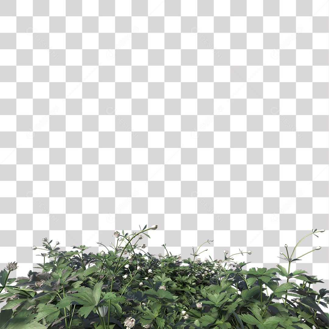 Planta com Flor PNG Transparente