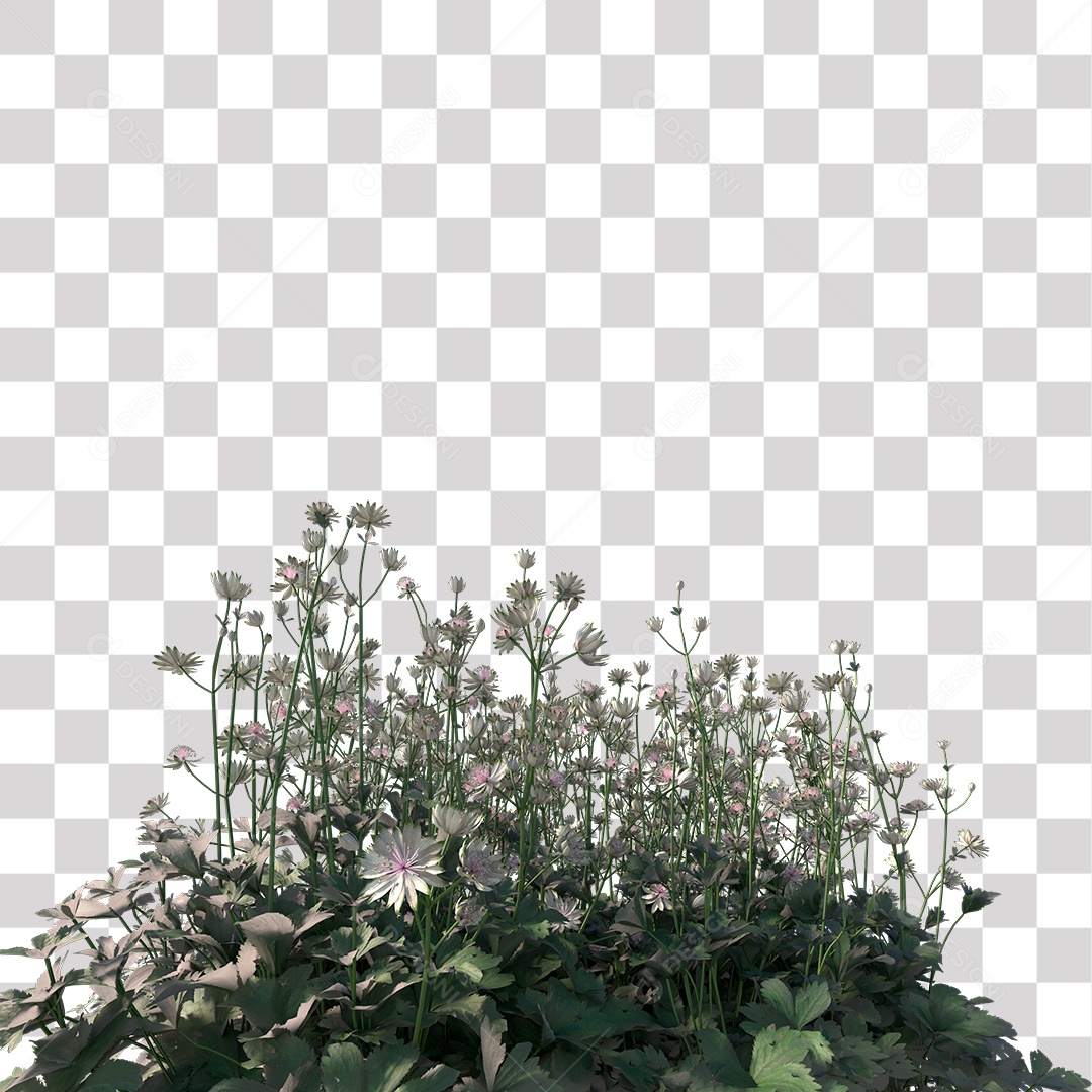 Planta com Flor PNG Transparente