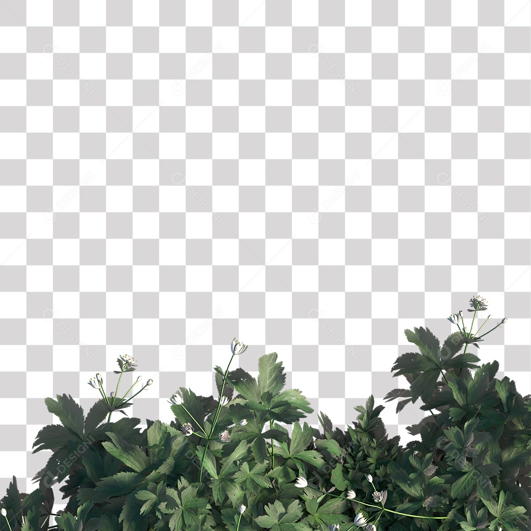 Planta com Flor PNG Transparente