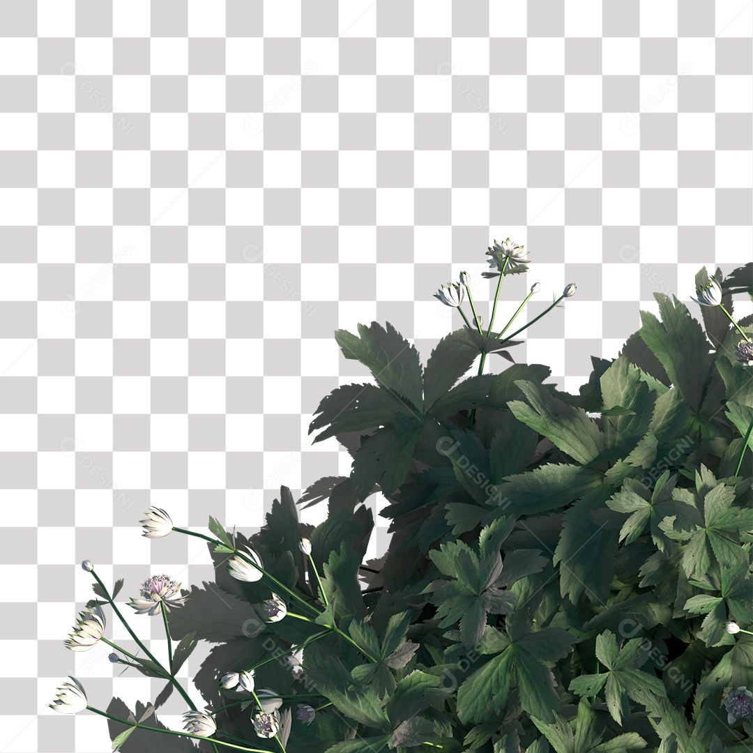 Planta com Flor PNG Transparente