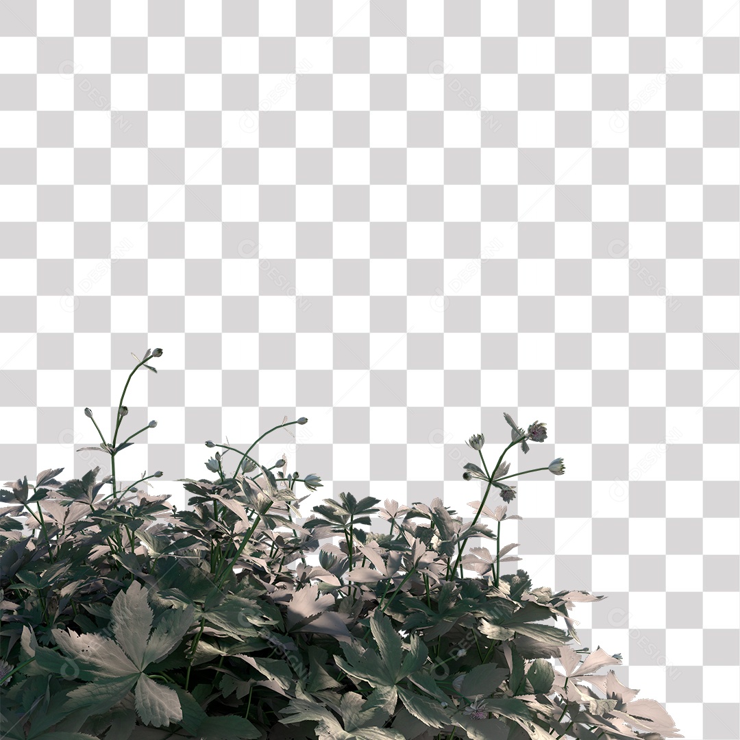 Planta com Flor PNG Transparente