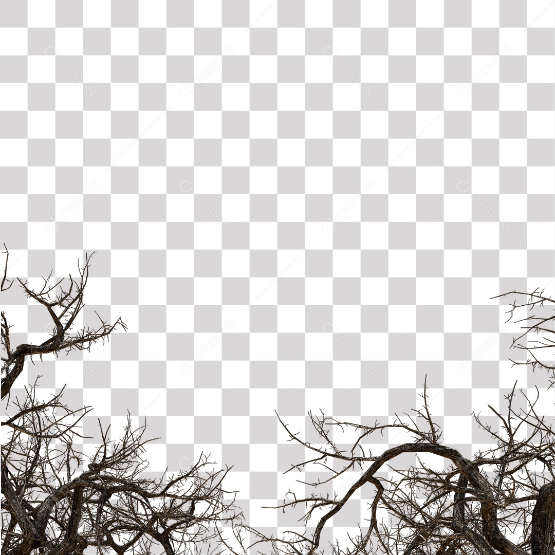 Galho Seco de Árvore sem Folhas PNG Transparente