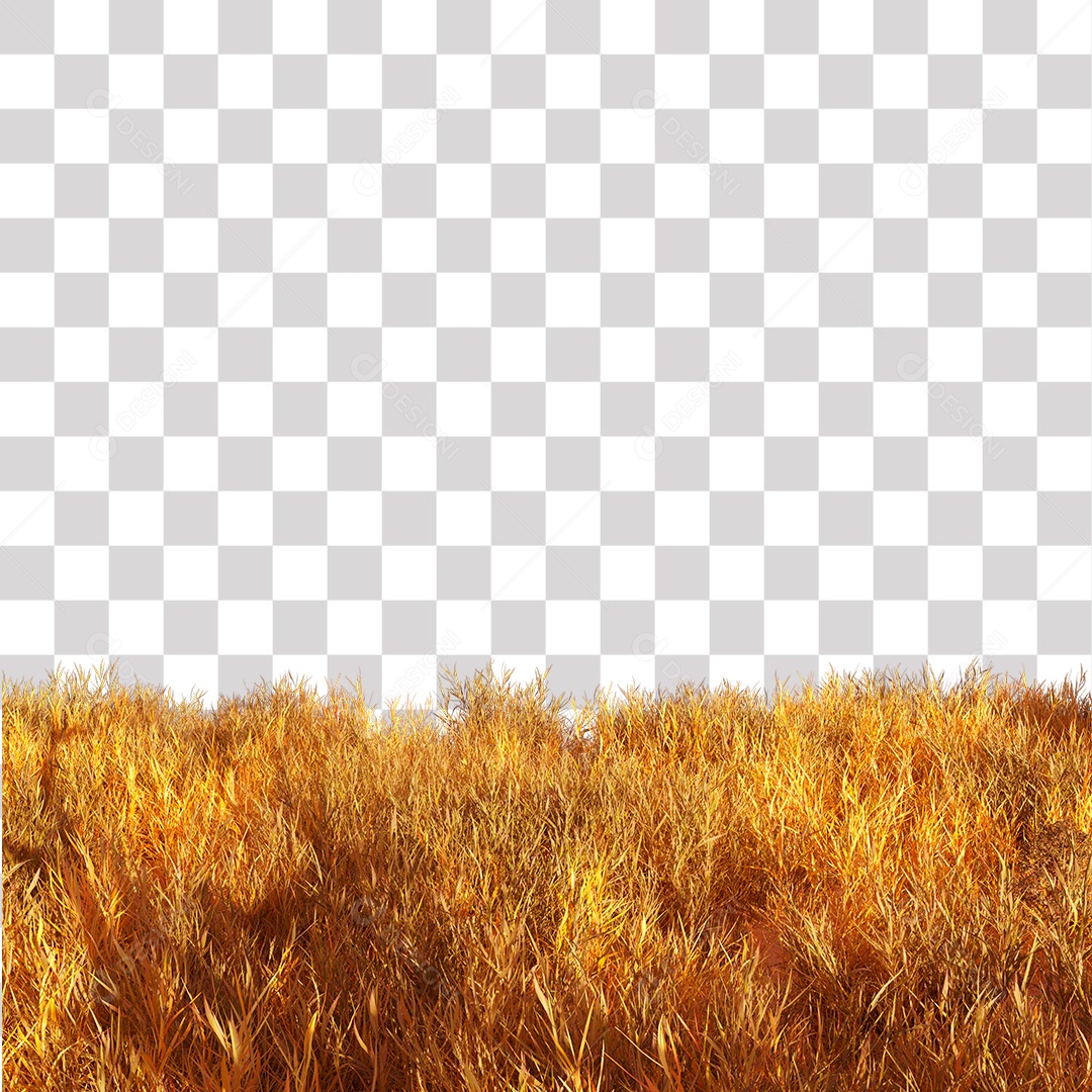 Capim Seco PNG Transparente