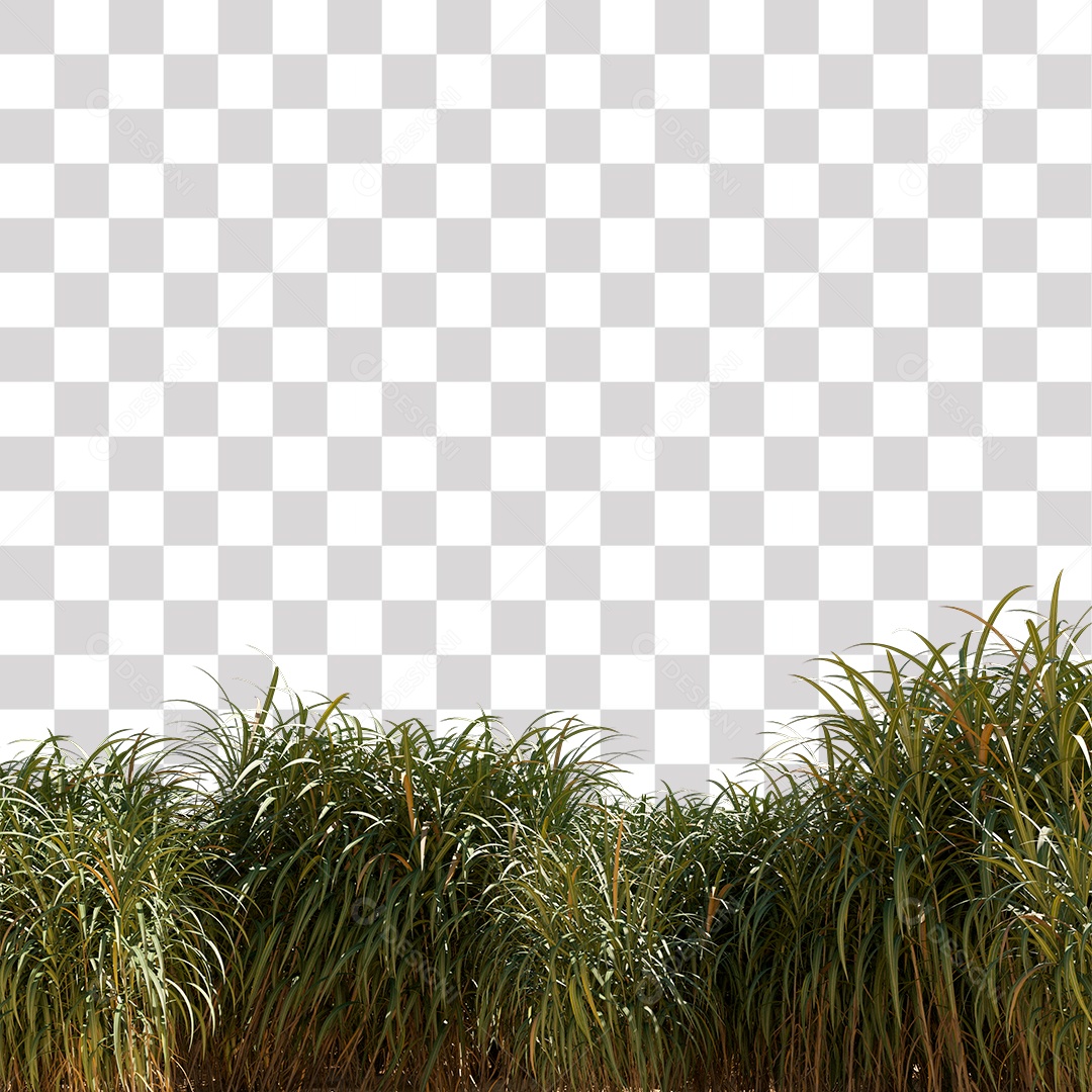 Arbusto de Capim Verde PNG Transparente