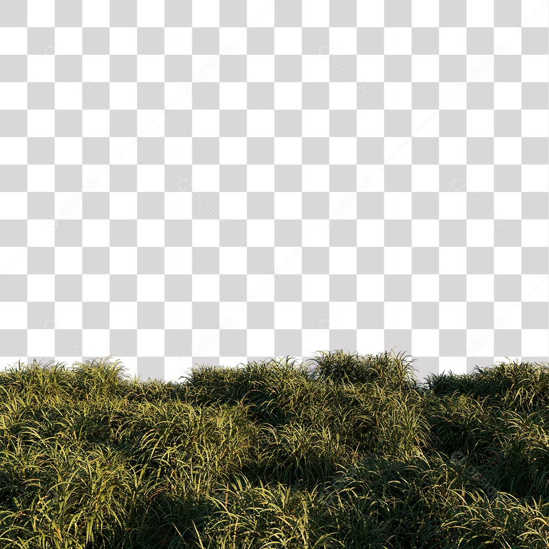 Arbusto de Grama Verde PNG Transparente