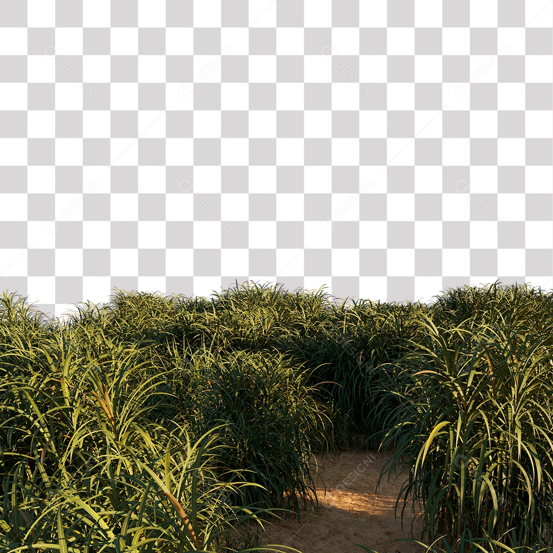 Paisagem Árvores Planta Estrada PNG Transparente