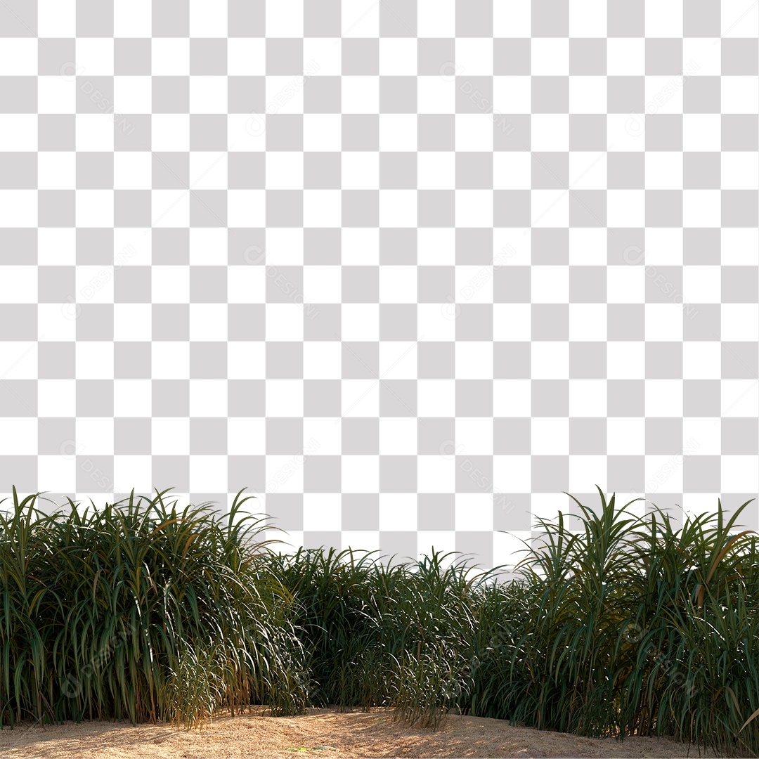 Paisagem Árvores Planta Estrada PNG Transparente