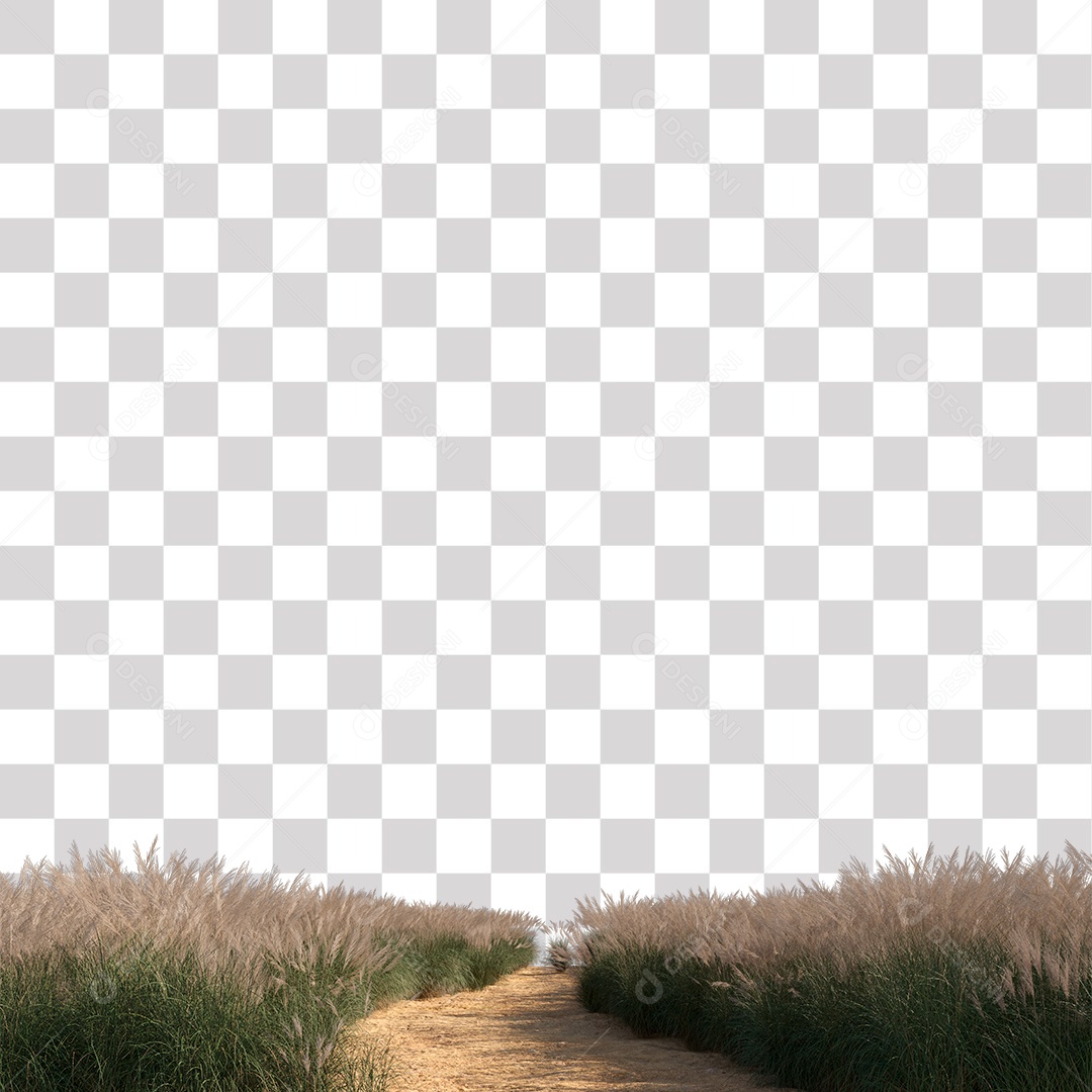 Paisagem Árvores Planta Estrada PNG Transparente