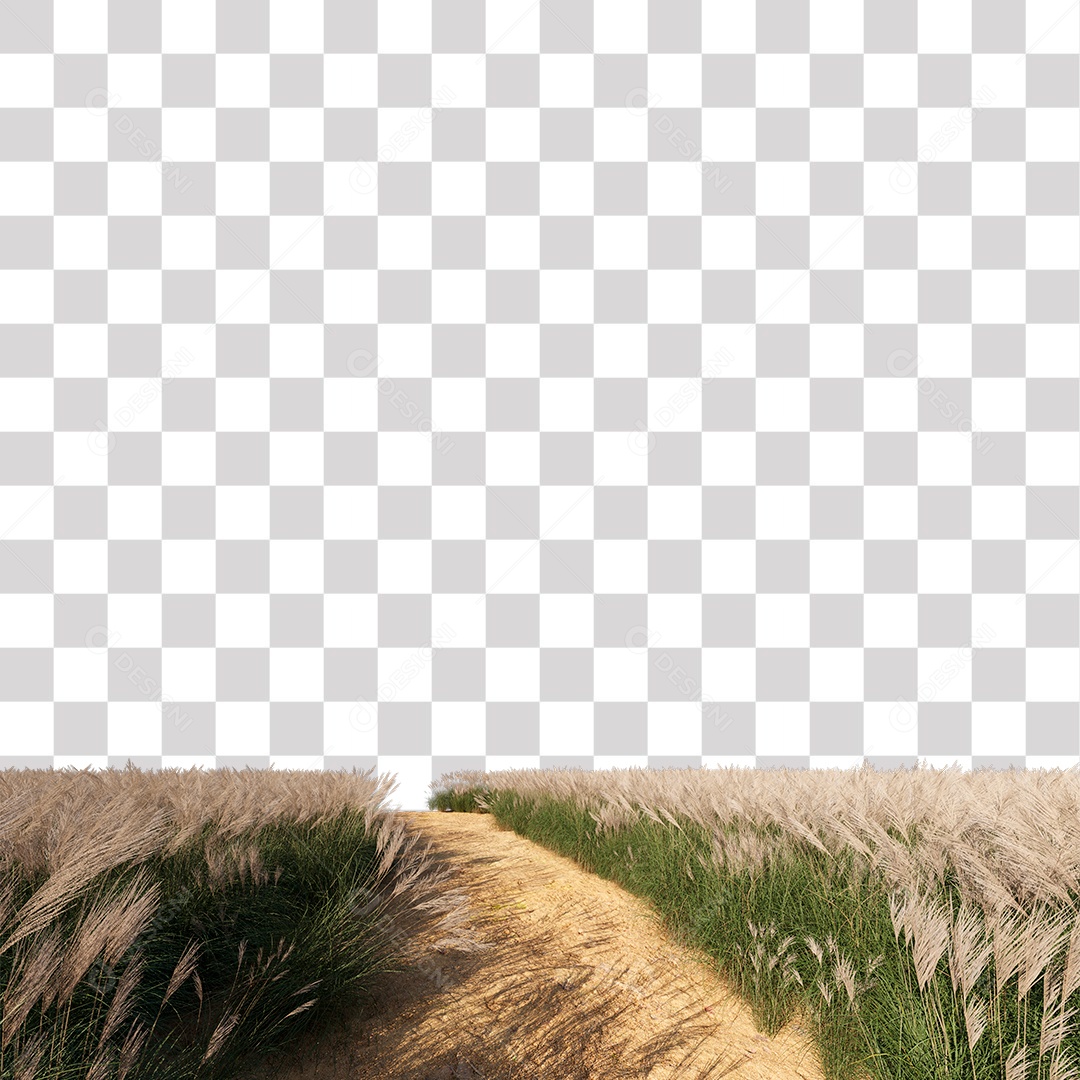 Paisagem Árvores Planta Estrada PNG Transparente