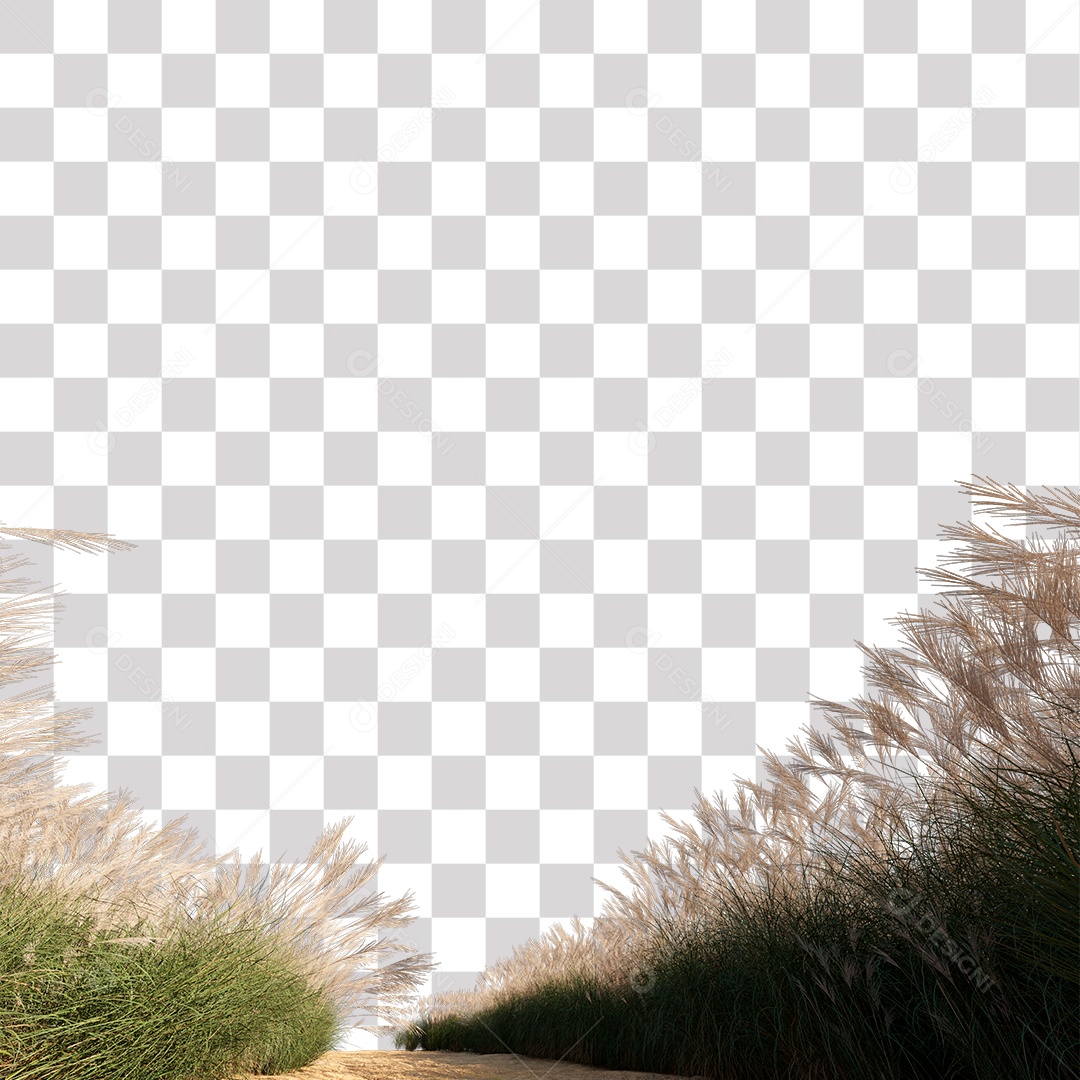 Paisagem Árvores Planta Estrada PNG Transparente