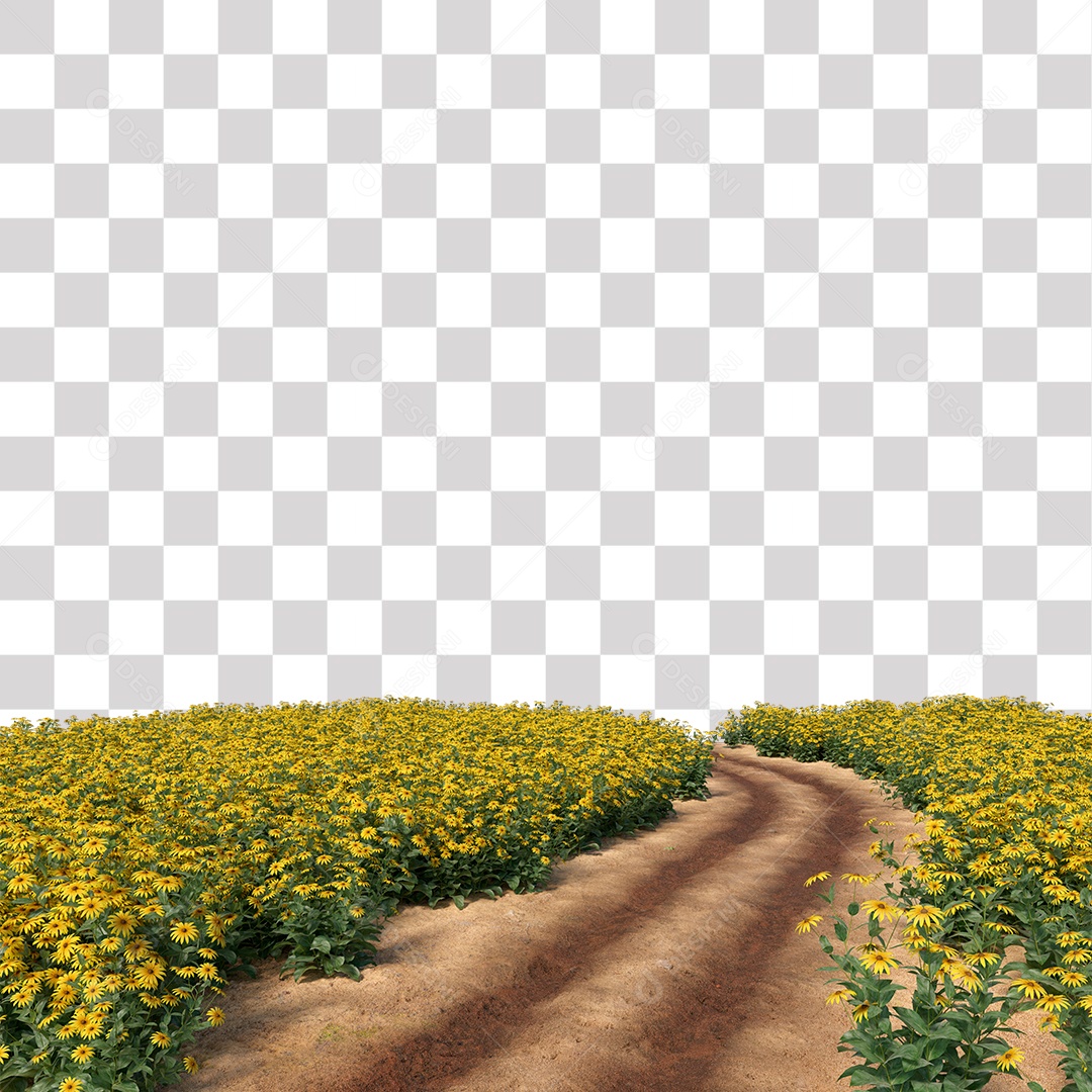 Paisagem de Girassol Estrada PNG Transparente