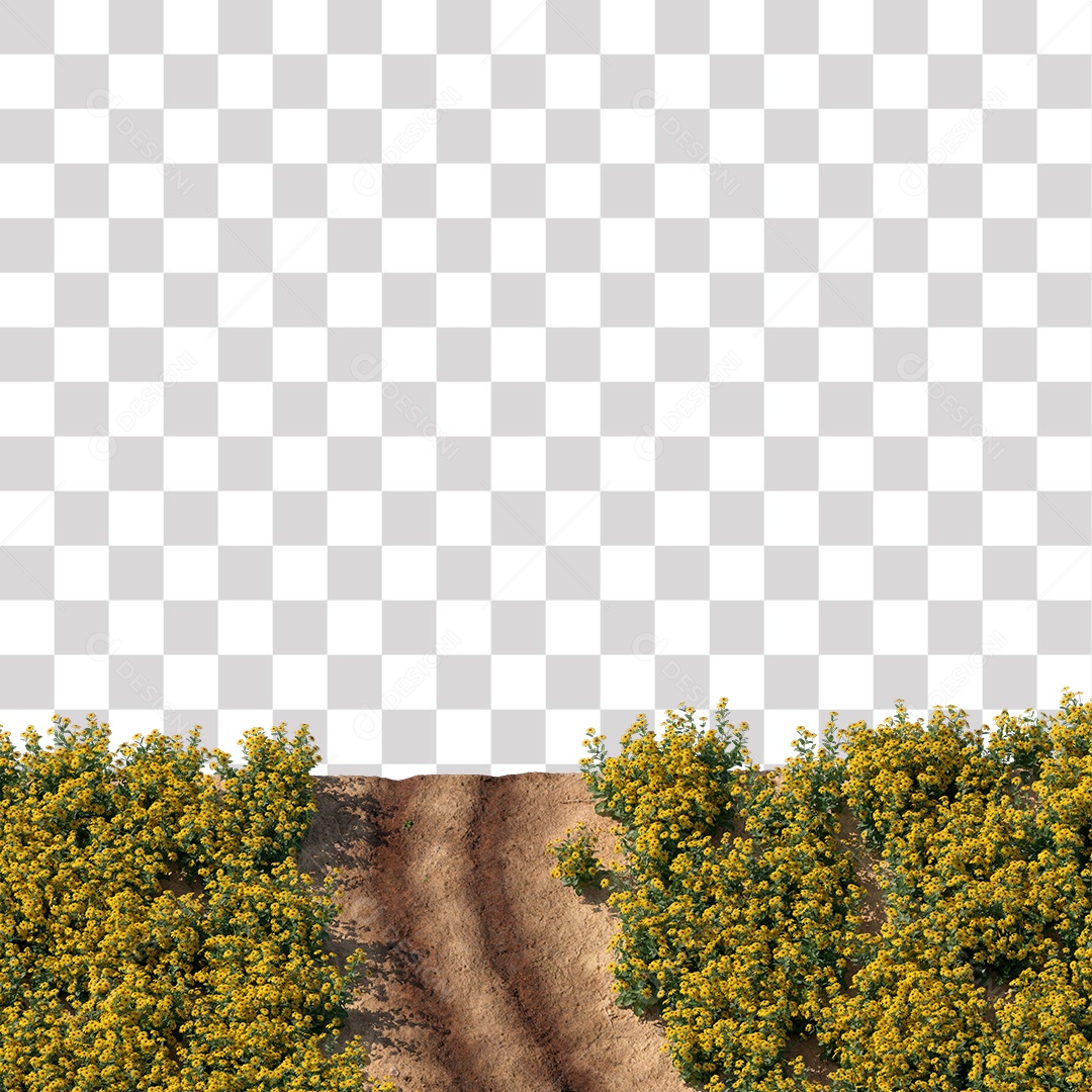 Paisagem Árvores Planta Estrada PNG Transparente