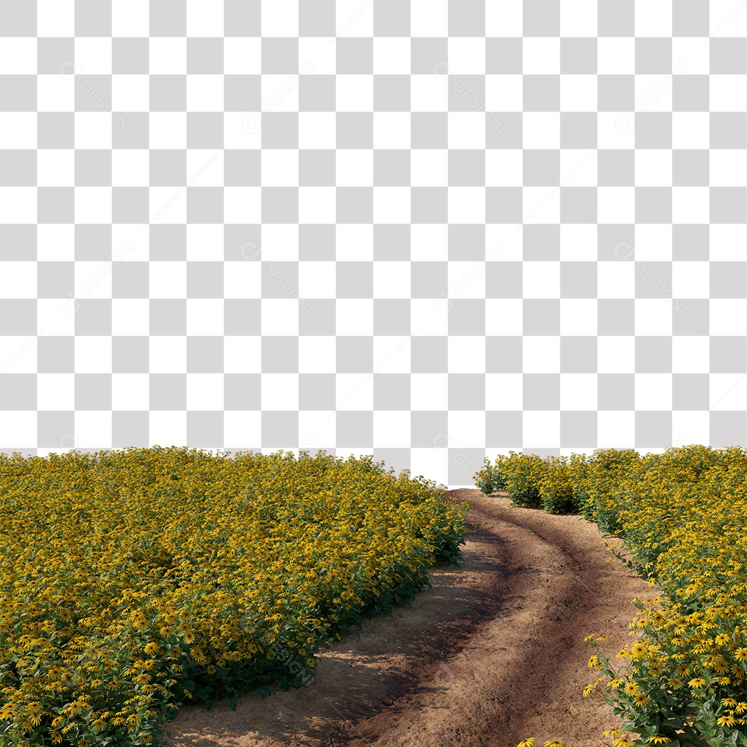 Paisagem Árvores Planta Estrada PNG Transparente