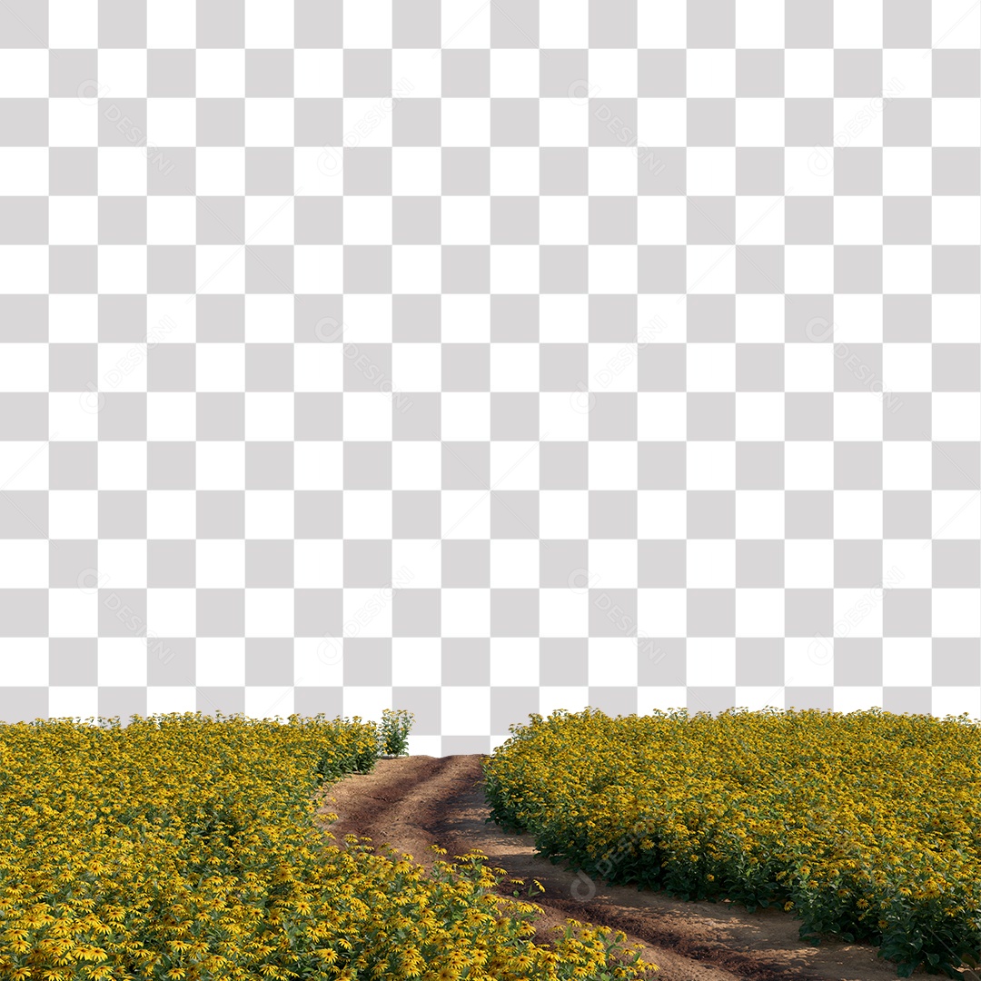 Paisagem Árvores Planta Estrada PNG Transparente