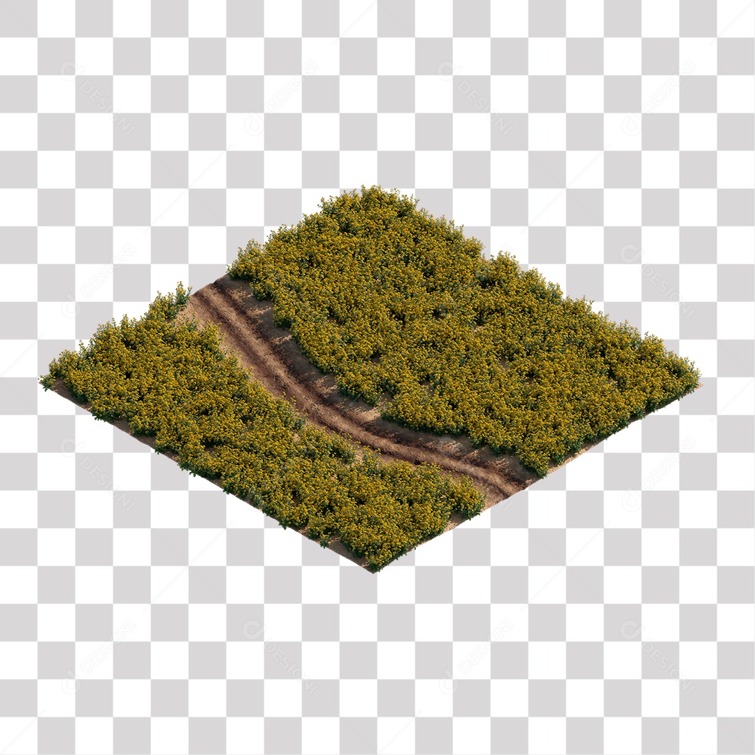 Planta Arbusto estrada PNG Transparente