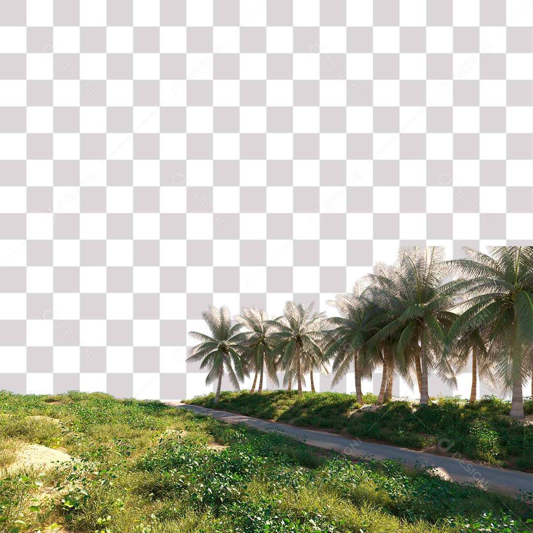 Árvores verdes Coqueiro Estrada PNG Transparente
