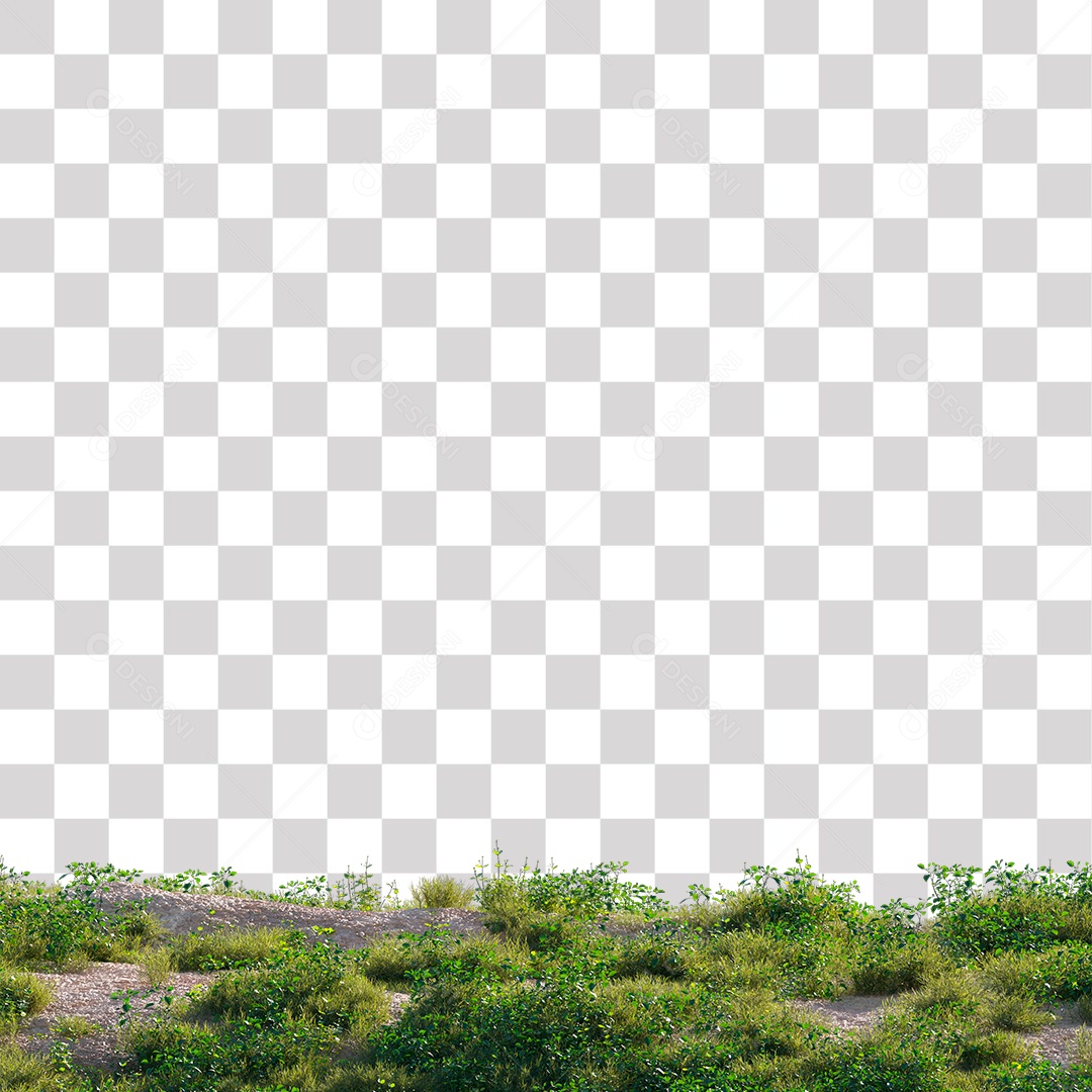 Arbusto Verde PNG Transparente