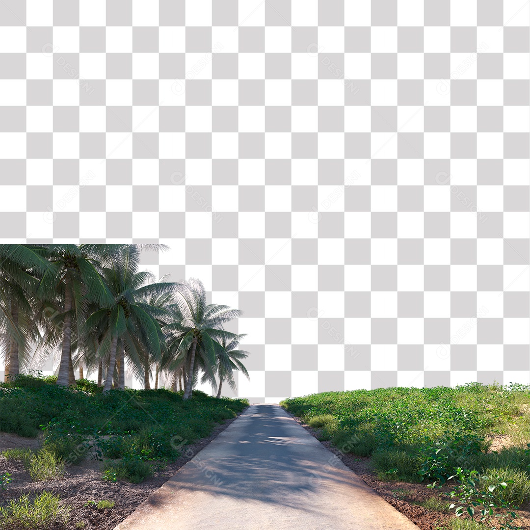 Árvore de Folha Verde Coqueiro Planta PNG Transparente