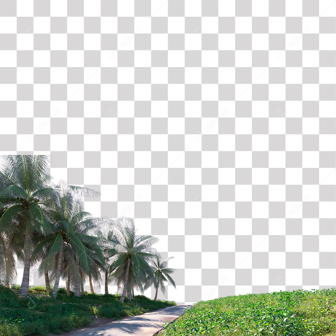 Árvore de Folha Verde Coqueiro Planta PNG Transparente